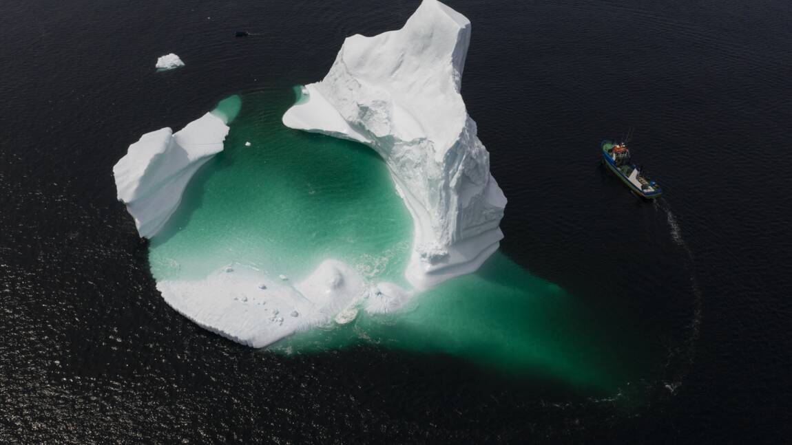 Profession: chasseur d'icebergs au Canada