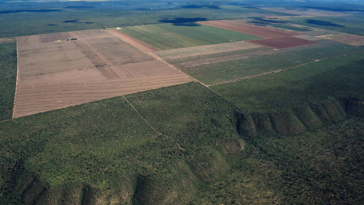 Brésil : la déforestation multipliée par quatre en juillet sur un an