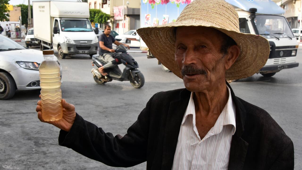 En Tunisie, les saveurs du legmi, fragile "cadeau" du palmier dattier