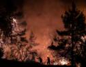 "Catastrophe écologique" sur l'île grecque d'Eubée, ravagée par les flammes