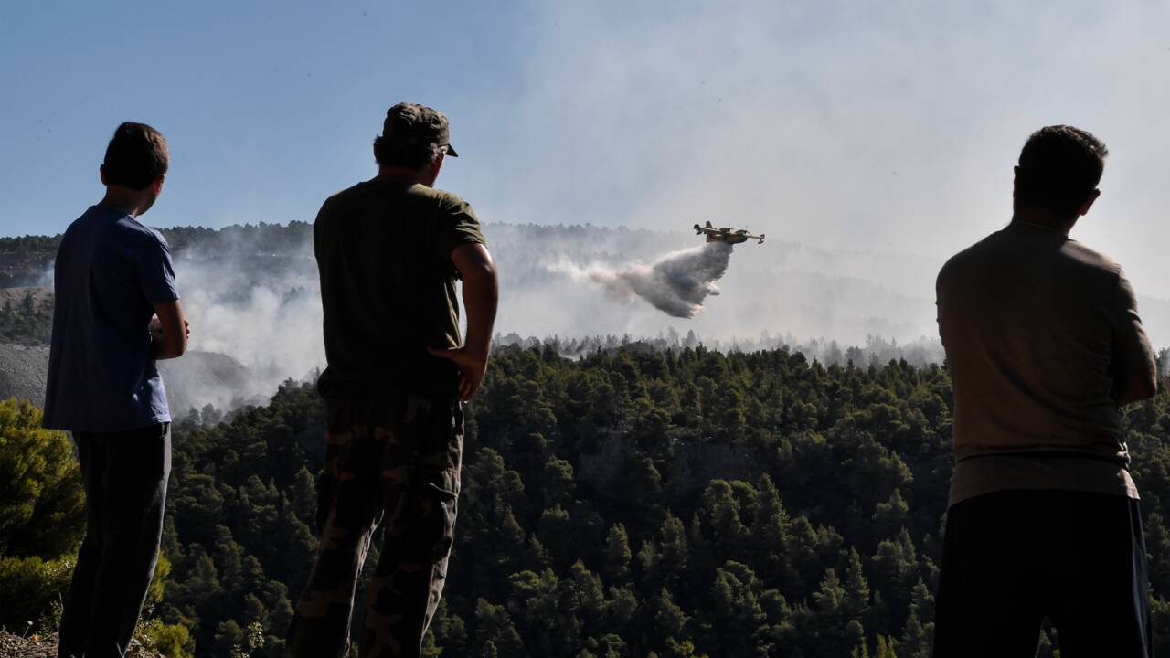 En Grèce, des avions européens aident les pompiers à combattre l'incendie dans l'île d'Eubée