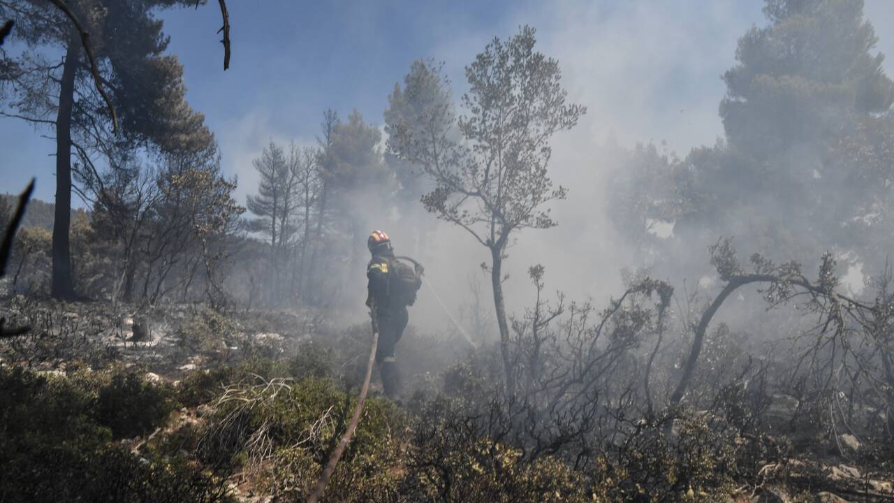 Grèce: des progrès contre l'incendie qui ravage l'île d'Eubée