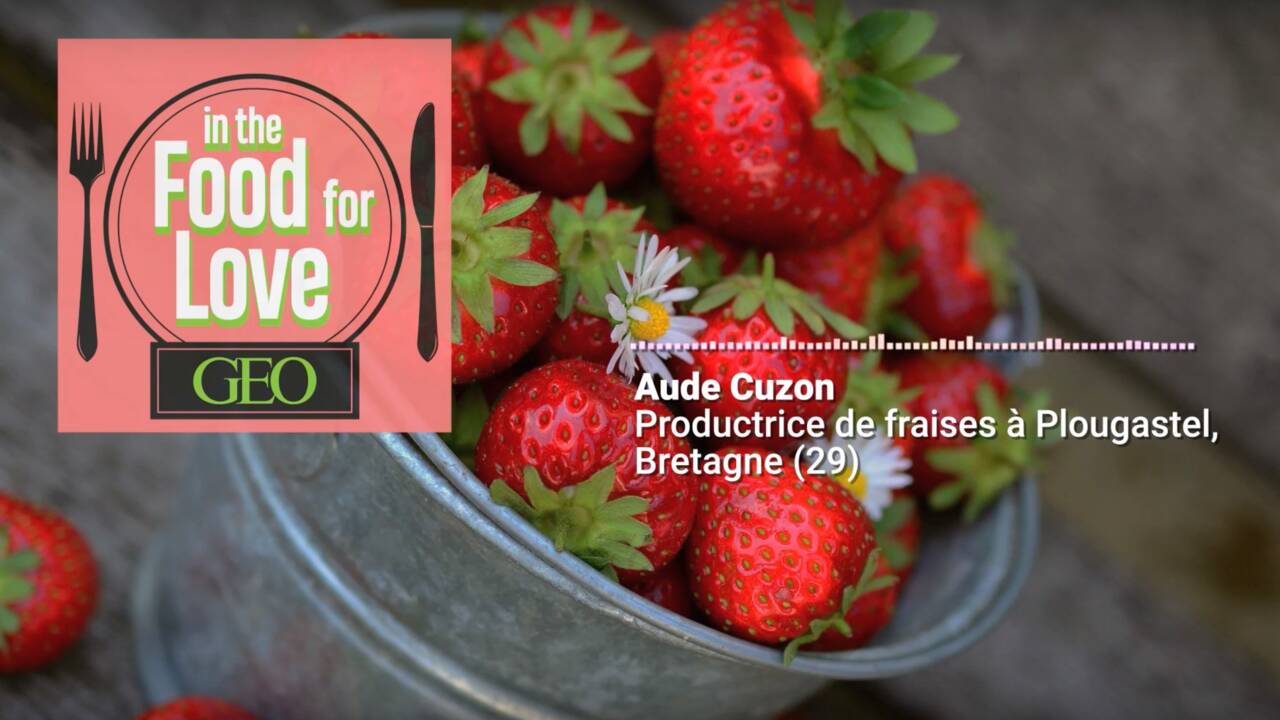 Podcast audio : les fraises, le trésor de Plougastel