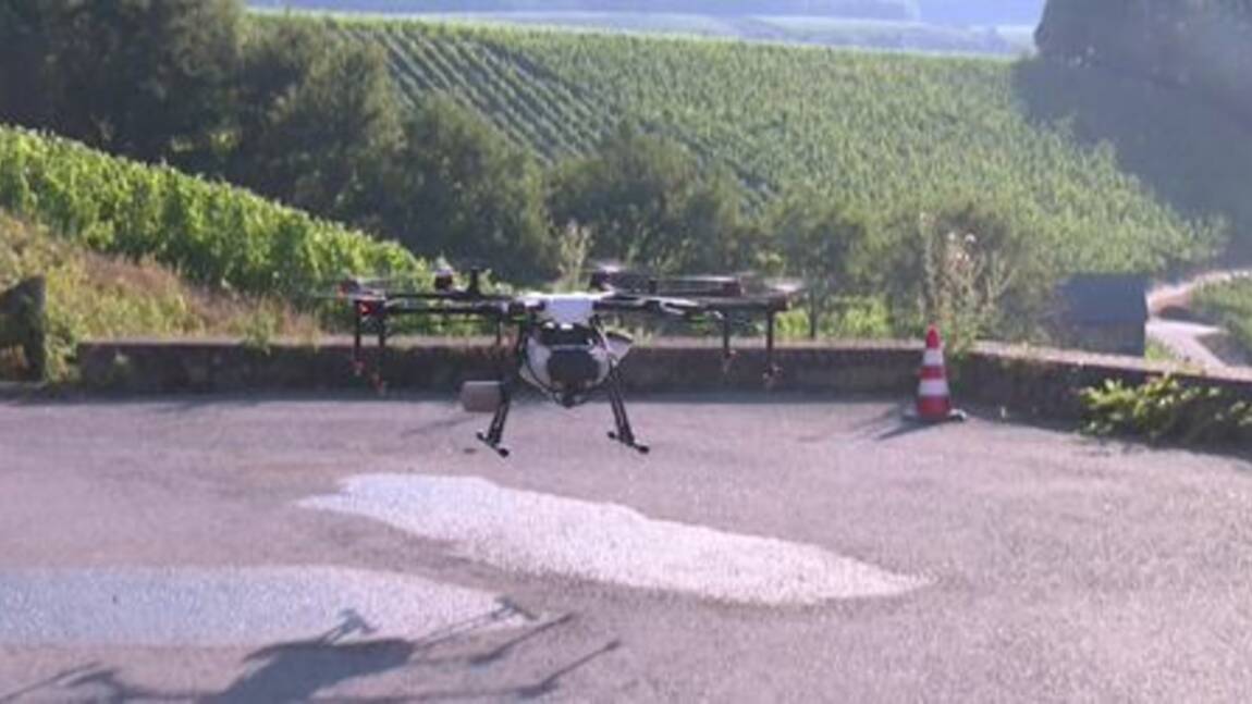 Quand les drones bourdonnent dans les vignes du Luxembourg