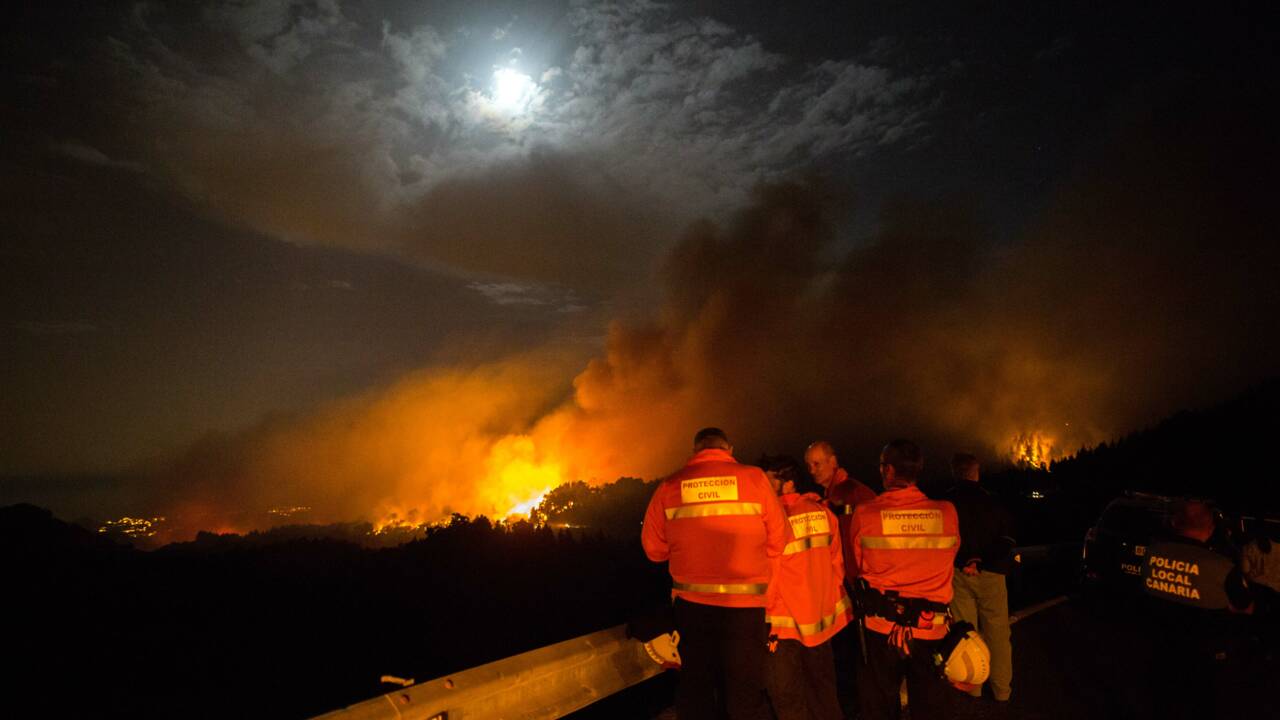 "Drame environnemental" à Grande Canarie, ravagée par un incendie