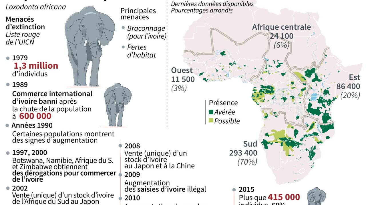 Espèces menacées: l'interdiction de la vente d'éléphants à des zoos en bonne voie