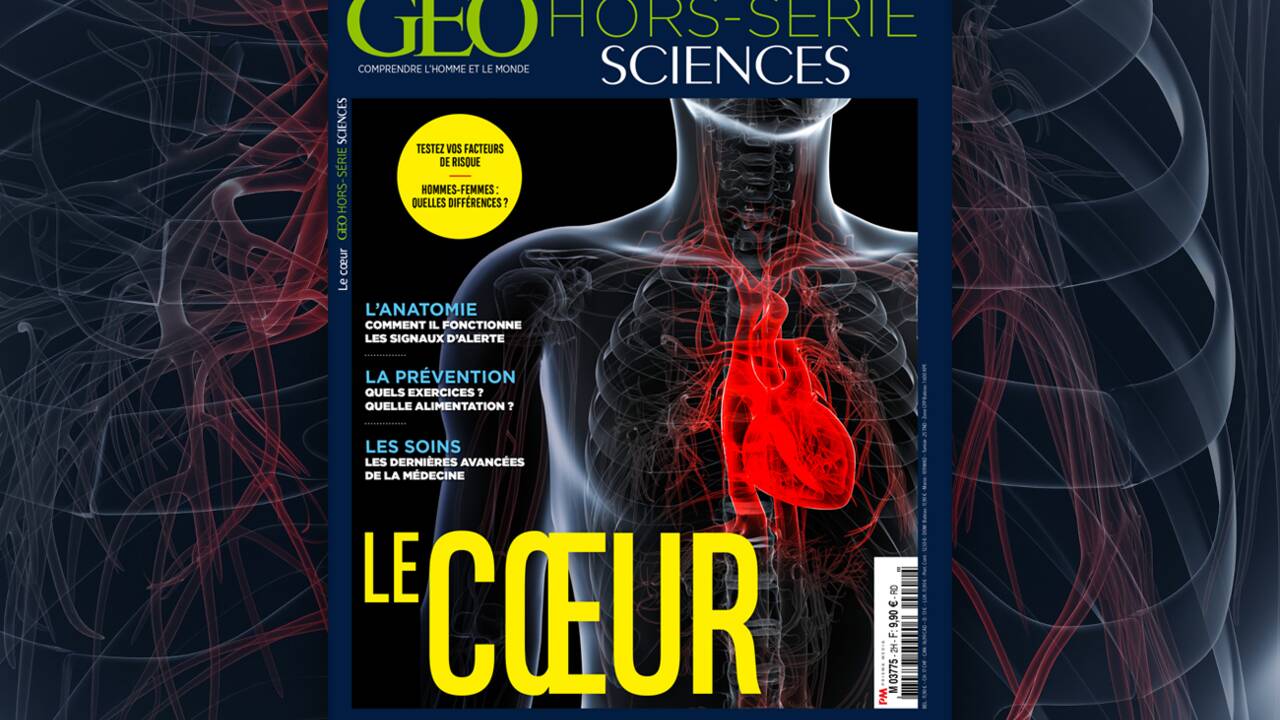 Petits et grands secrets du cœur dans le nouveau hors-série GEO Sciences