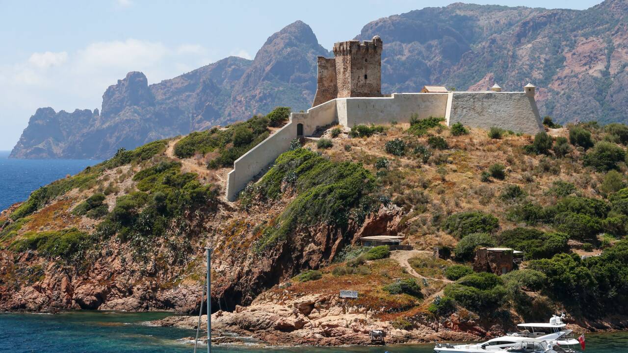 Corse : le difficile équilibre entre tourisme et écologie dans la réserve de Scandola