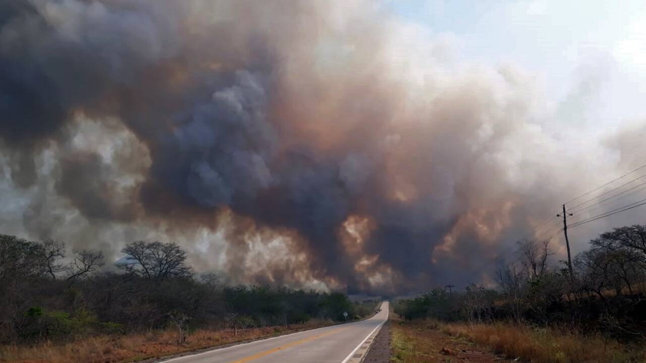 La Bolivie et le Paraguay eux aussi en proie aux feux de forêt