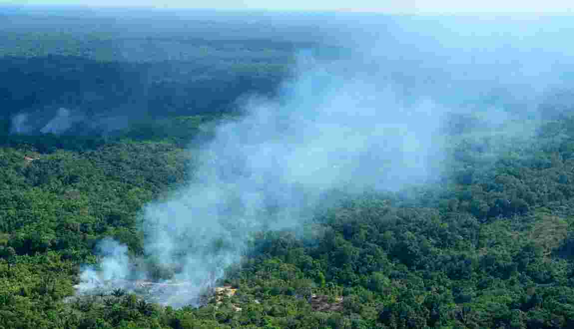 Amazonie en flammes Amazonie-en-flammes-la-france-et-lonu-sonnent-lalarme