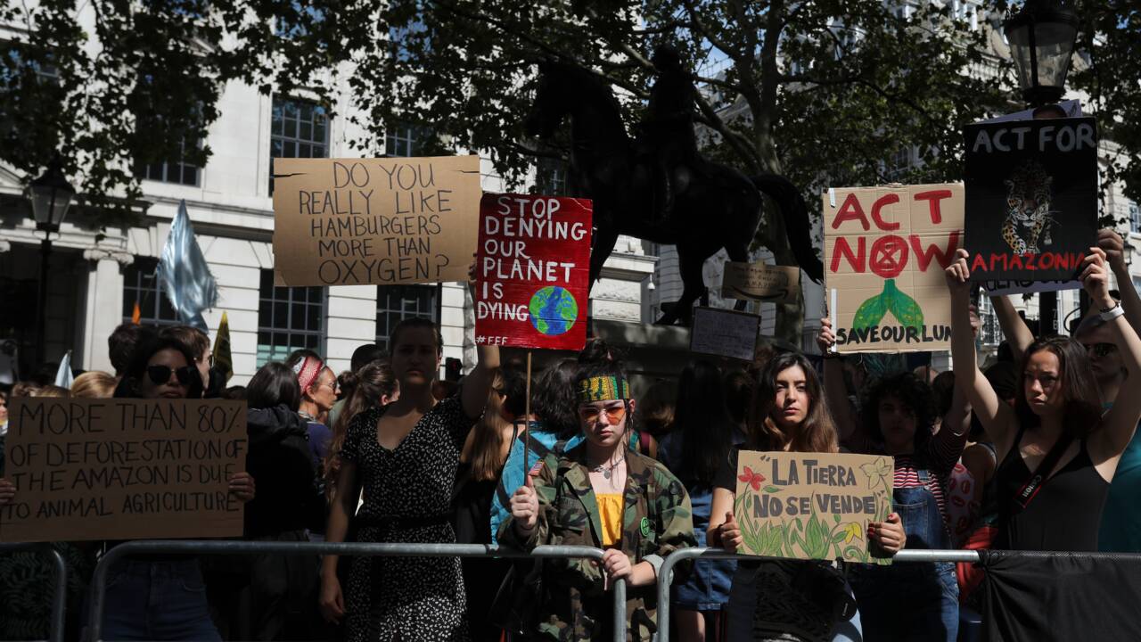 Amazonie: manifestation à Londres pour sauver "les poumons en feu" de la planète