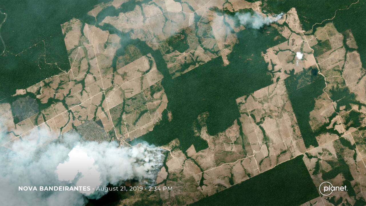 Pourquoi une partie de l'Amazonie brûle-t-elle?