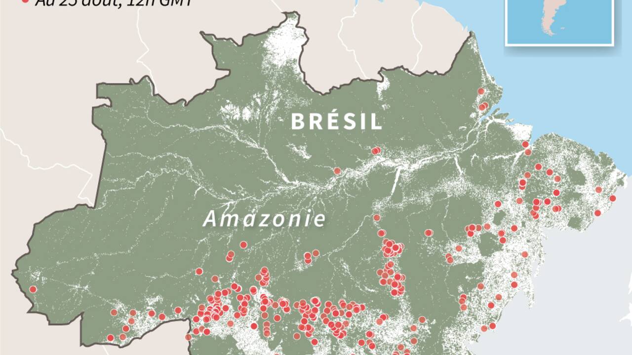 Amazonie: le pape "inquiet" pour le "poumon vital" de la planète