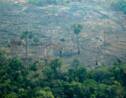 Londres promet 10 millions de livres pour l'Amazonie