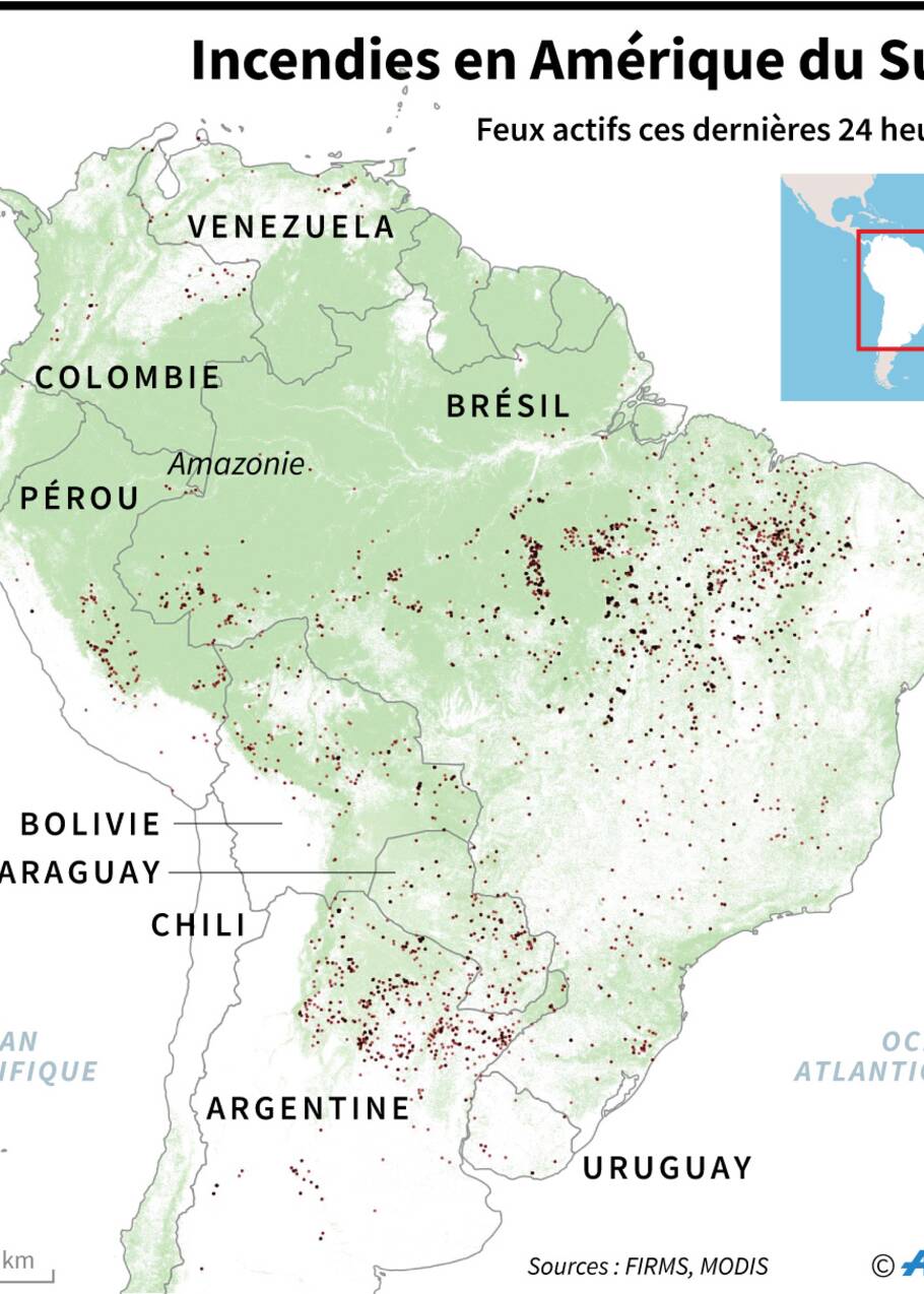 Amazonie: Bolsonaro minimise la gravité des incendies et s'en prend à la presse