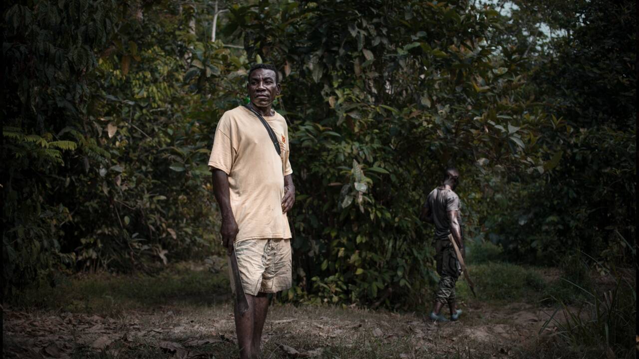 D'anciens chasseurs pygmées tentent de sauver les derniers éléphants de Centrafrique