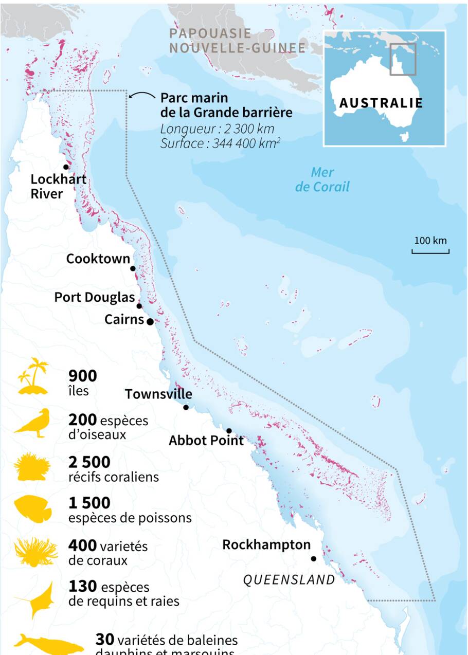 Australie : les perspectives désormais "très mauvaises" pour la Grande Barrière