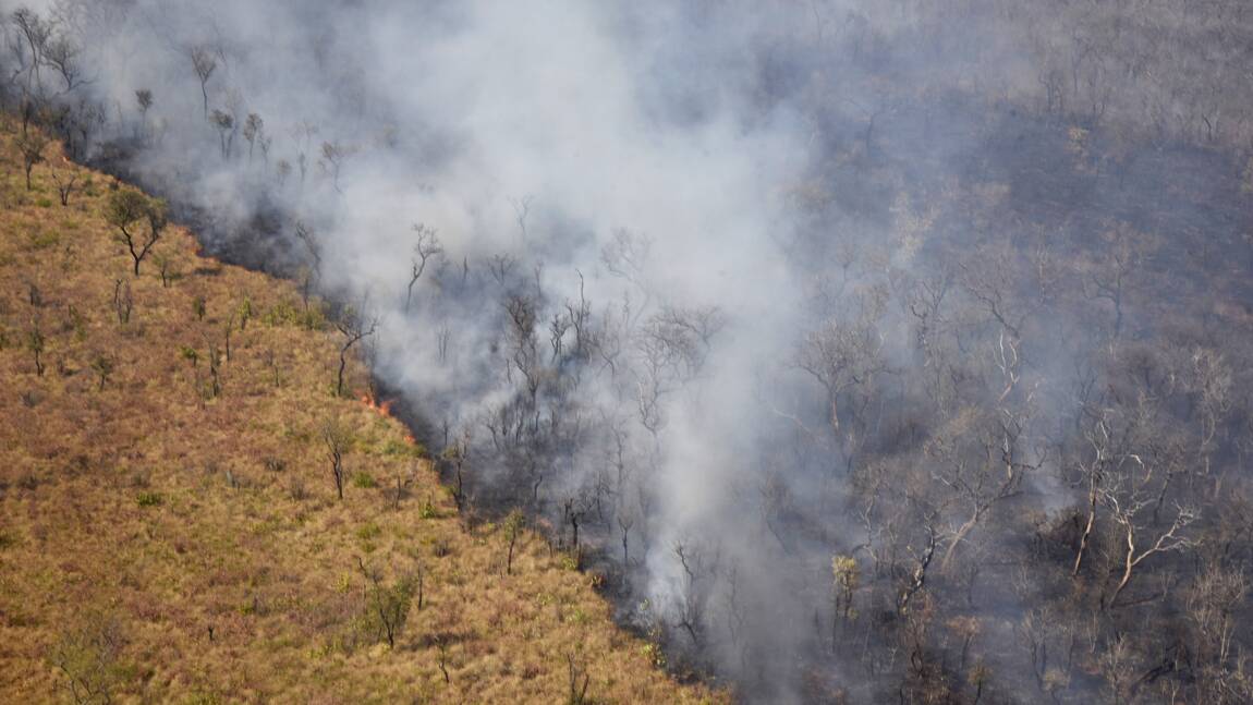 Au-delà des incendies, les multiples périls qui menacent l'Amazonie
