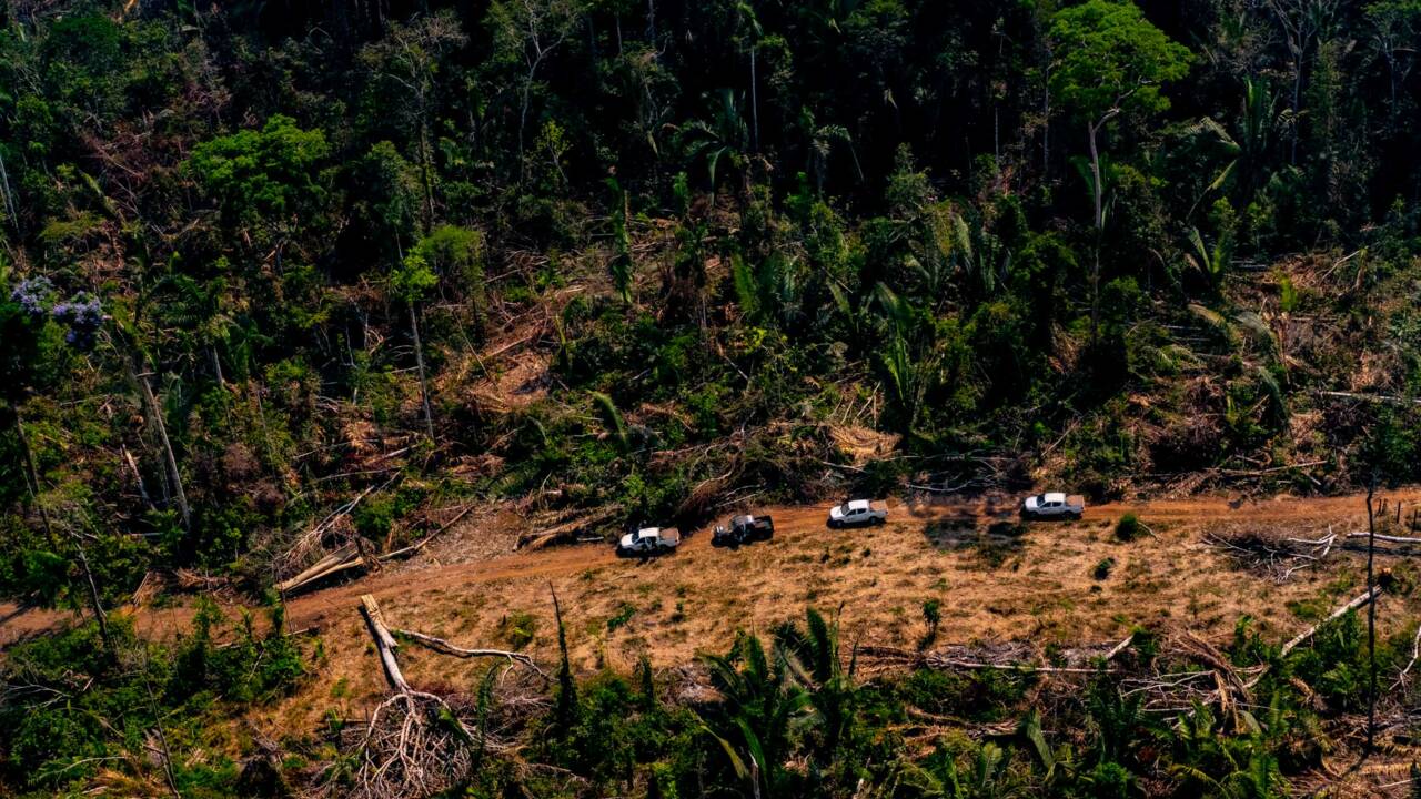 Le sommet sur l'Amazonie lancera un "appel mondial" pour sa protection