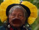 Le chef indien Raoni à Bordeaux pour un festival sur l'Amazonie