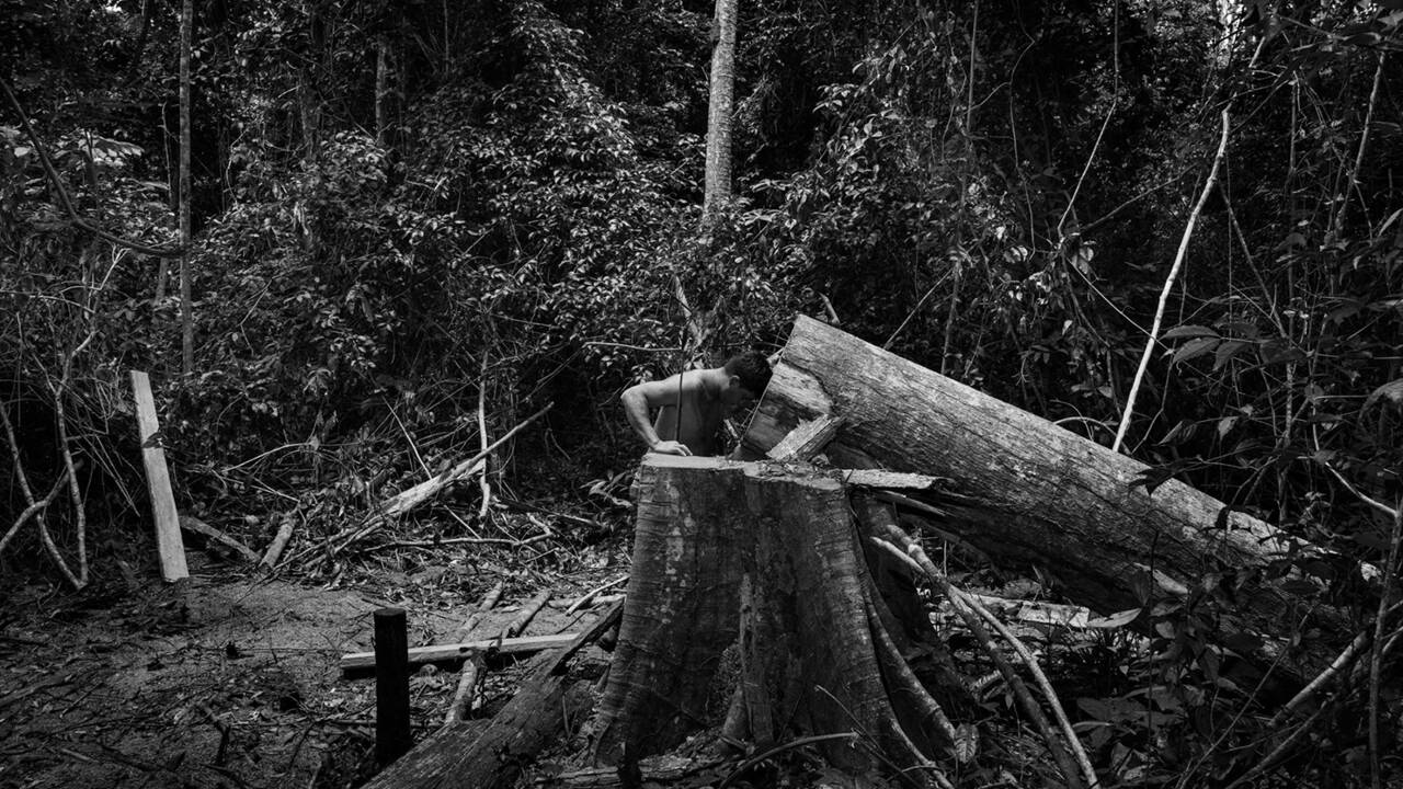 Et le 10e Prix Carmignac du photojournalisme consacré à l'Amazonie est attribué à...