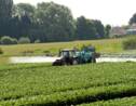 Pesticides: le gouvernement ouvre la consultation sur les zones d'épandage