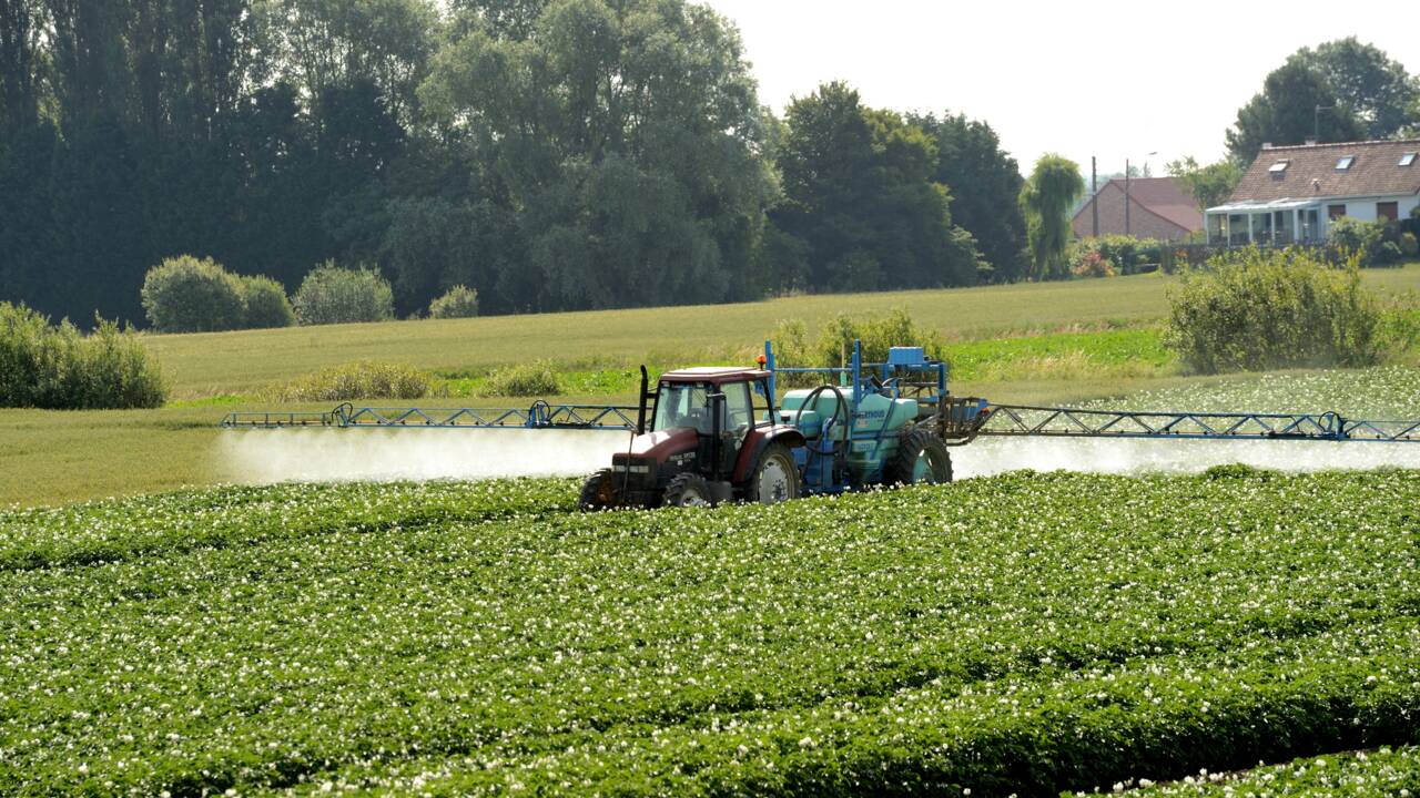 Pesticides: Agir pour l'Environnement demande un "plan Marshall" de l'agriculture