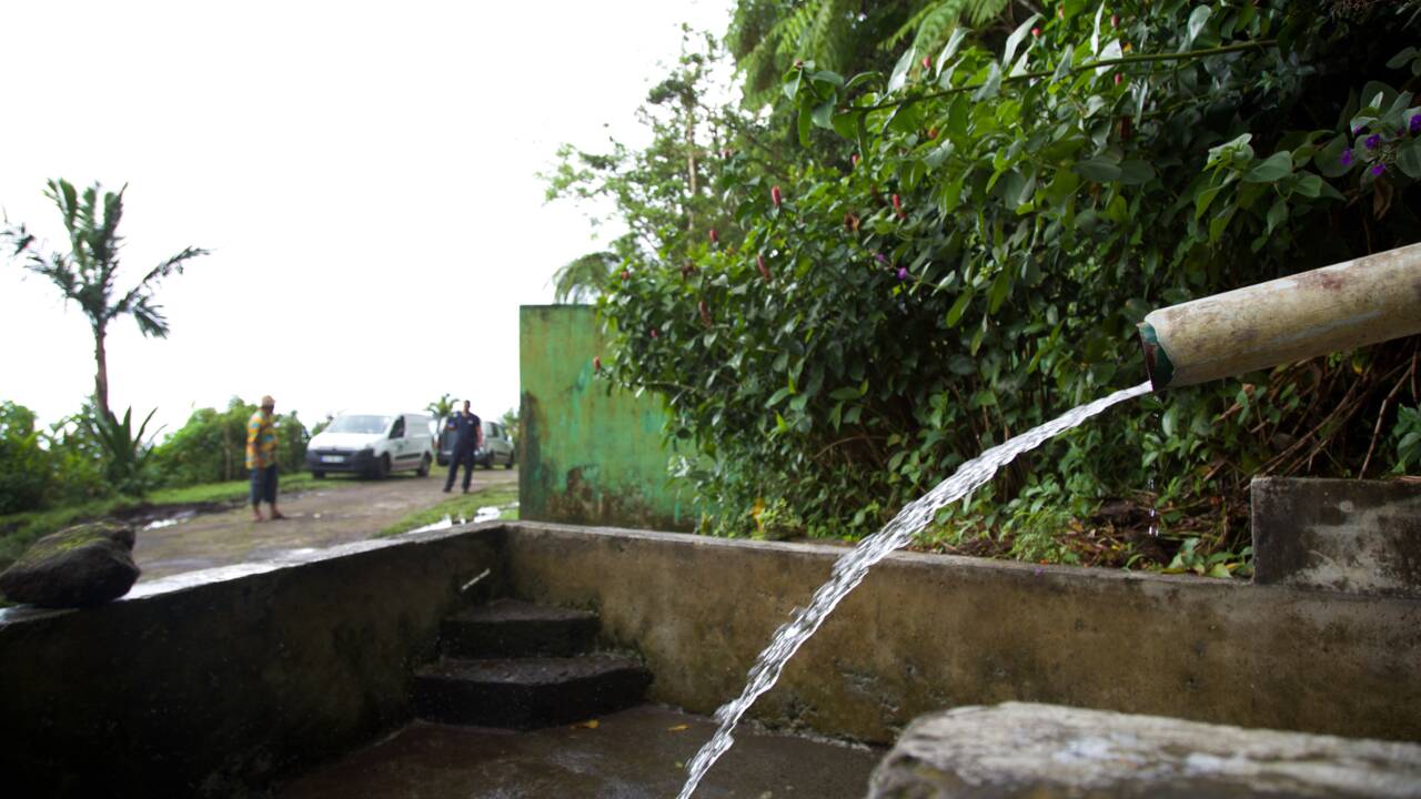 Un rapport pointe "la dégradation généralisée" de l'eau en Guadeloupe