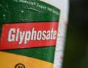 Plainte contre Amazon et eBay pour vente illégale de pesticides