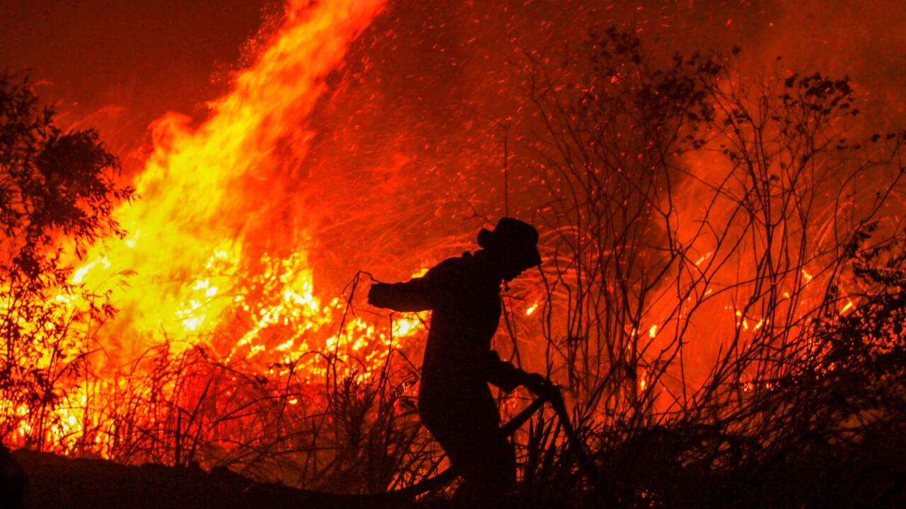 Indonésie: les feux reprennent de la vigueur, craintes pour le climat
