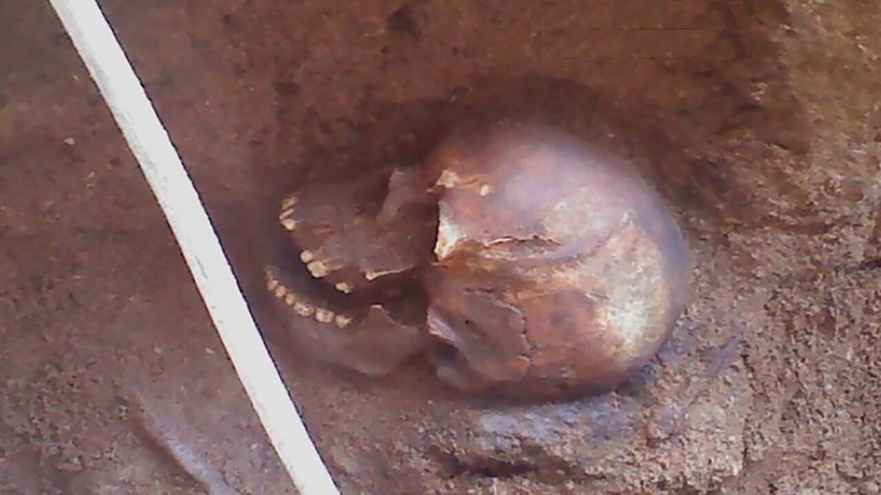 Des squelettes découverts dans le Connecticut éclairent sur la vie des immigrés au XIXe siècle