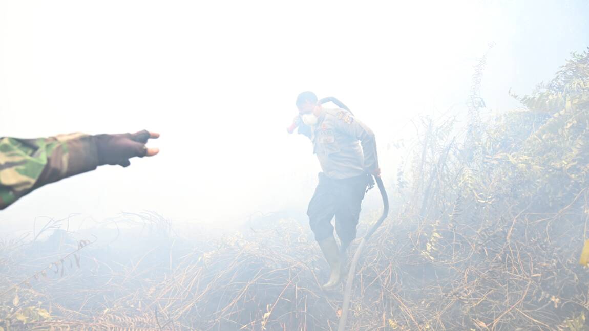 Indonésie: près de 200 arrestations pour avoir déclenché des incendies
