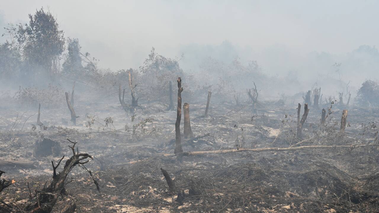 Incendies: fermeture de milliers d'écoles en Indonésie et en Malaisie