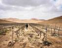 Comment Israël a transformé le désert du Néguev en immense laboratoire high-tech