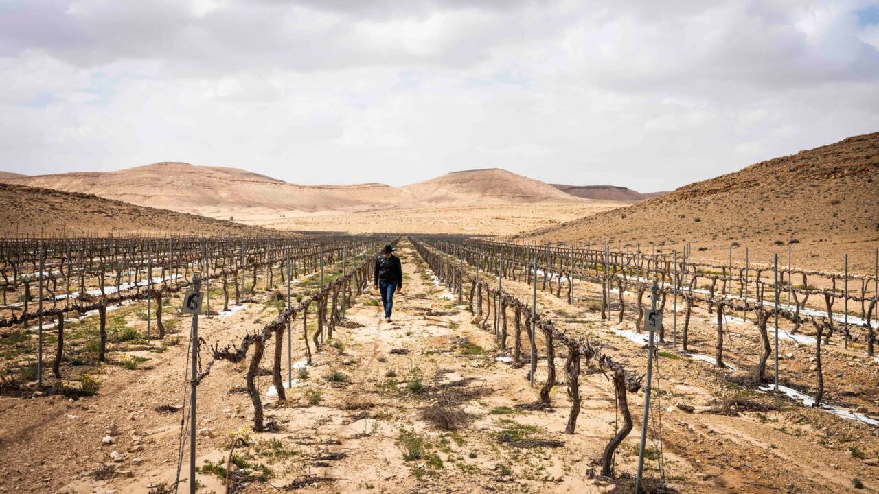 Comment Israël a transformé le désert du Néguev en immense laboratoire high-tech