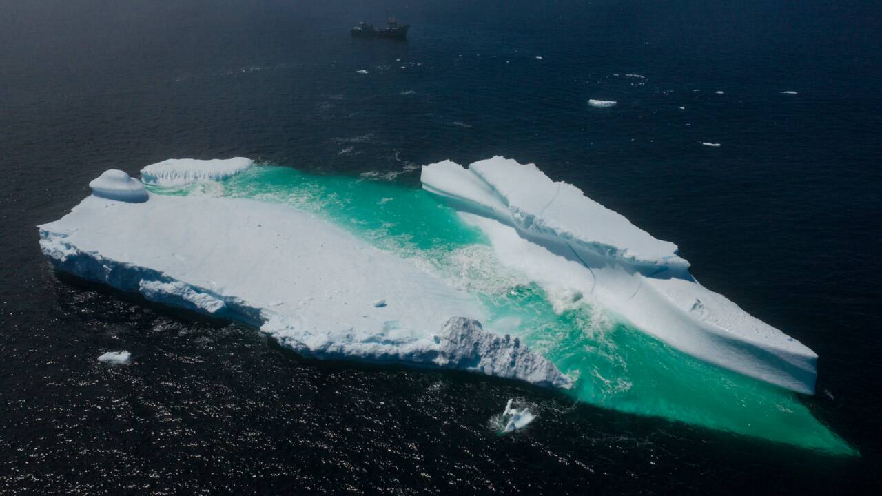 Les océans ravagés, nouvelle preuve accablante du dérèglement climatique