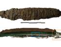 Il y a 2000 ans, les Egyptiens chassaient des crocodiles sauvages pour en faire des momies