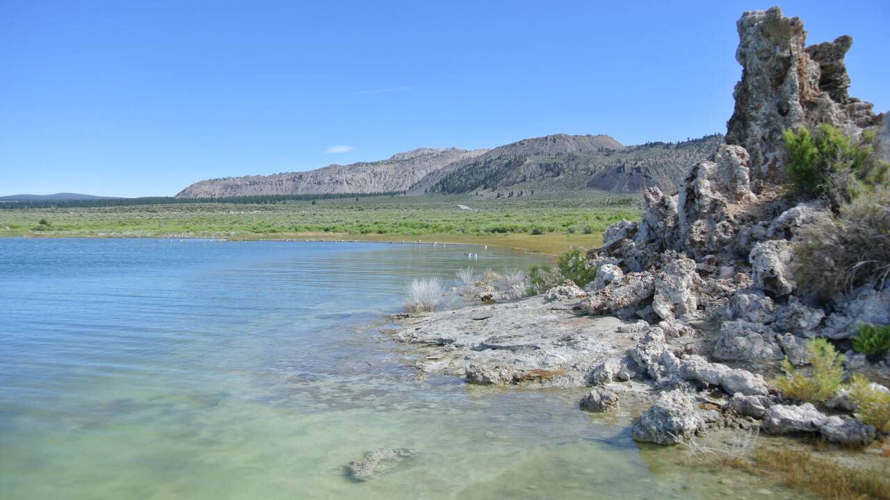 En Californie, un lac salé révèle des vers dotés de trois sexes et résistants à l'arsenic