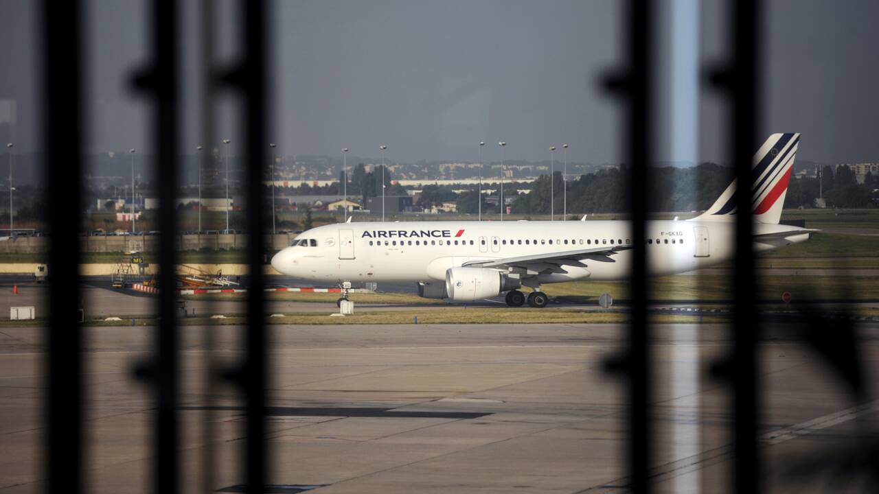 Air France va compenser ses émissions de CO2 sur les vols intérieurs dès 2020