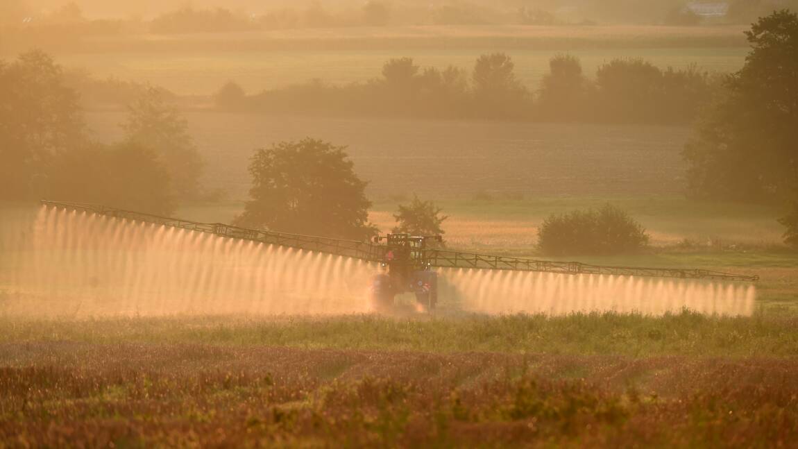 Pesticides: le gouvernement confirme les distances d'épandage controversées