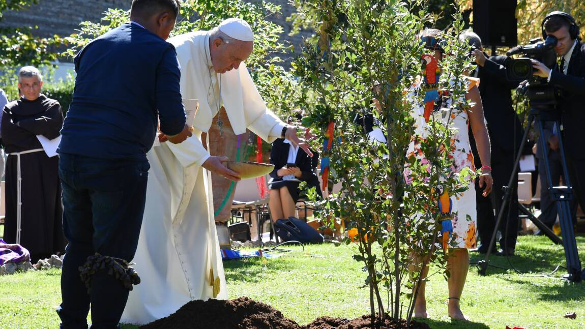 Le pape plante un arbre au Vatican avec des indigènes d'Amazonie