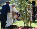 Le pape plante un arbre au Vatican avec des indigènes d'Amazonie