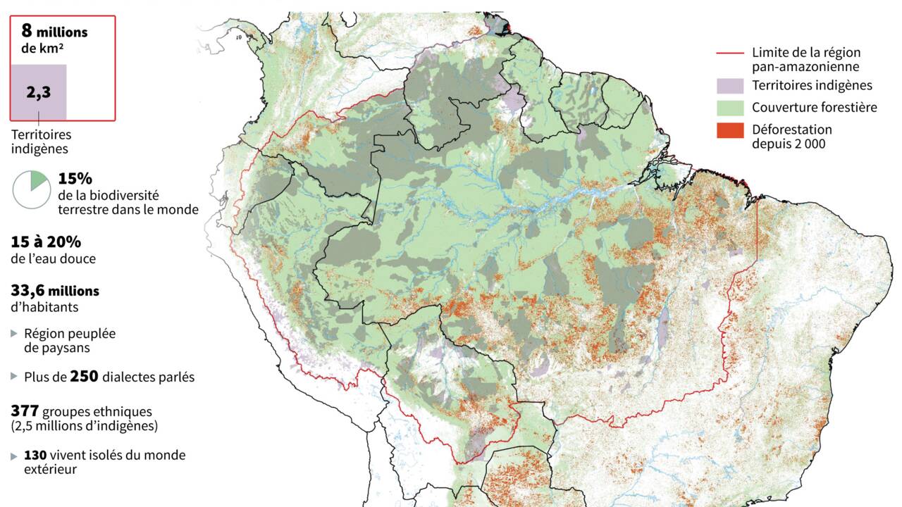 "La forêt debout", modèle économique pour sauver l'Amazonie