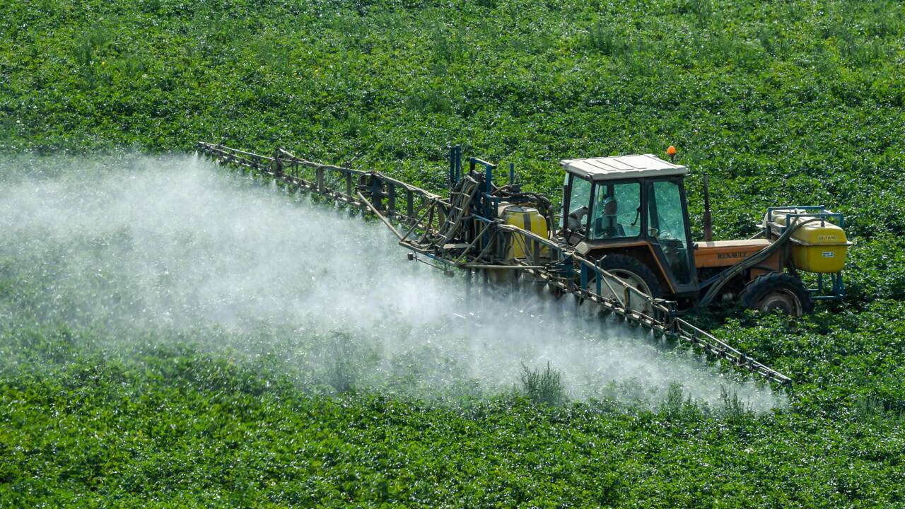 Un maire de l'Yonne prend un arrêté pro-pesticides