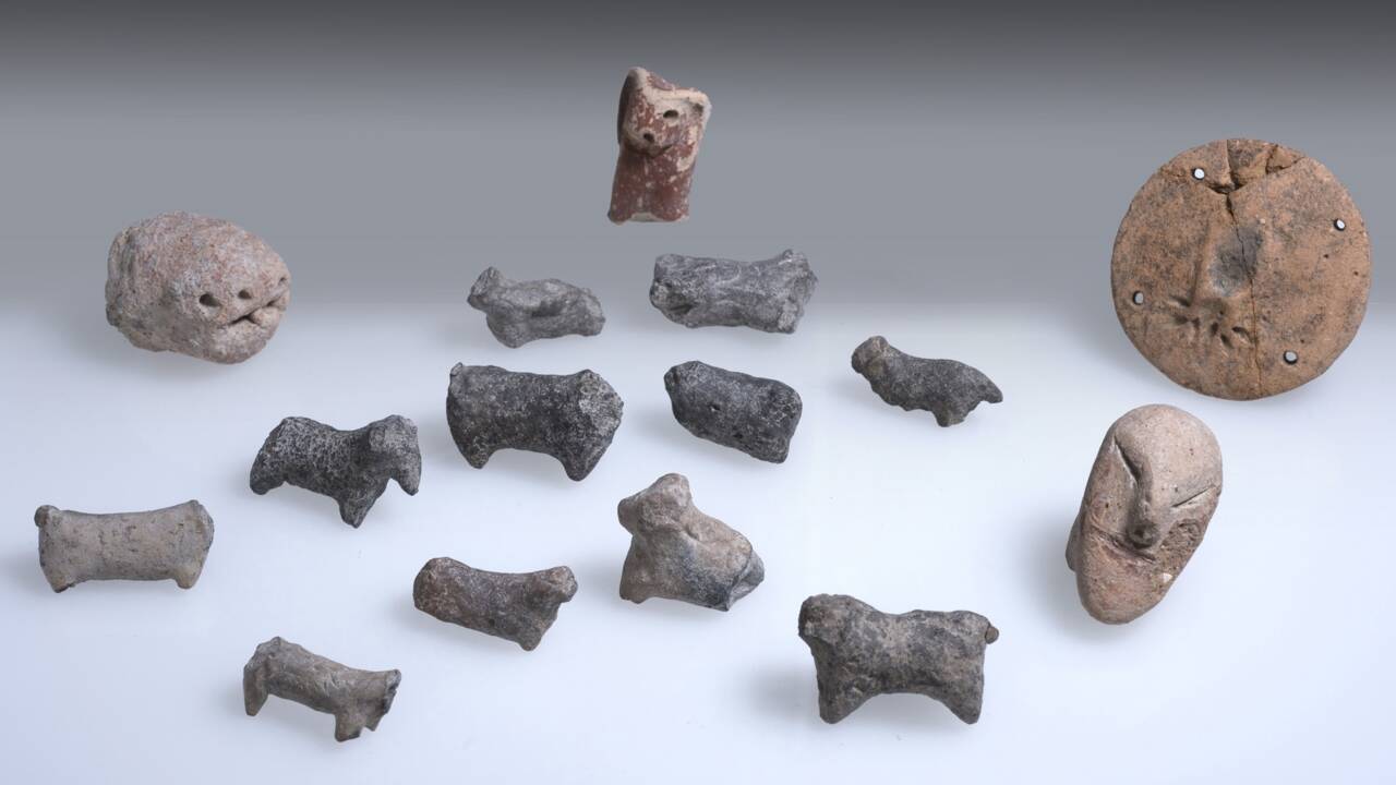 Des archéologues exhument les vestiges d'une cité vieille de 5000 ans en Israël