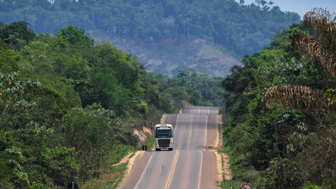 Sur la route à travers l'Amazonie, l'asphalte mange la forêt