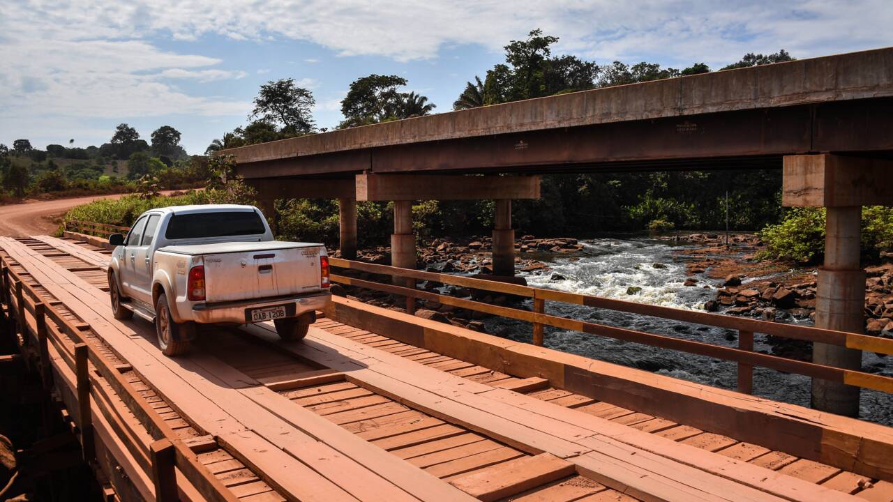 Sur la route à travers l'Amazonie, l'asphalte mange la forêt