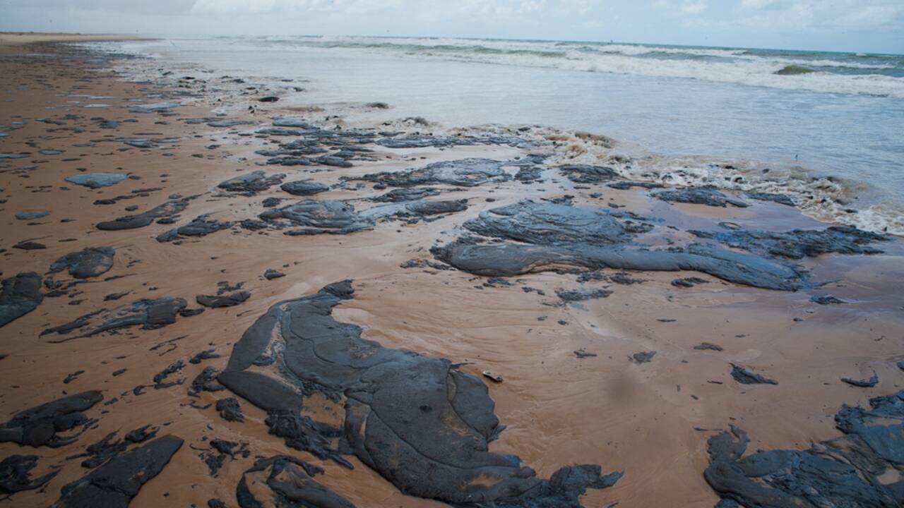 Pollution de plus de 130 plages au Brésil: le mystère persiste