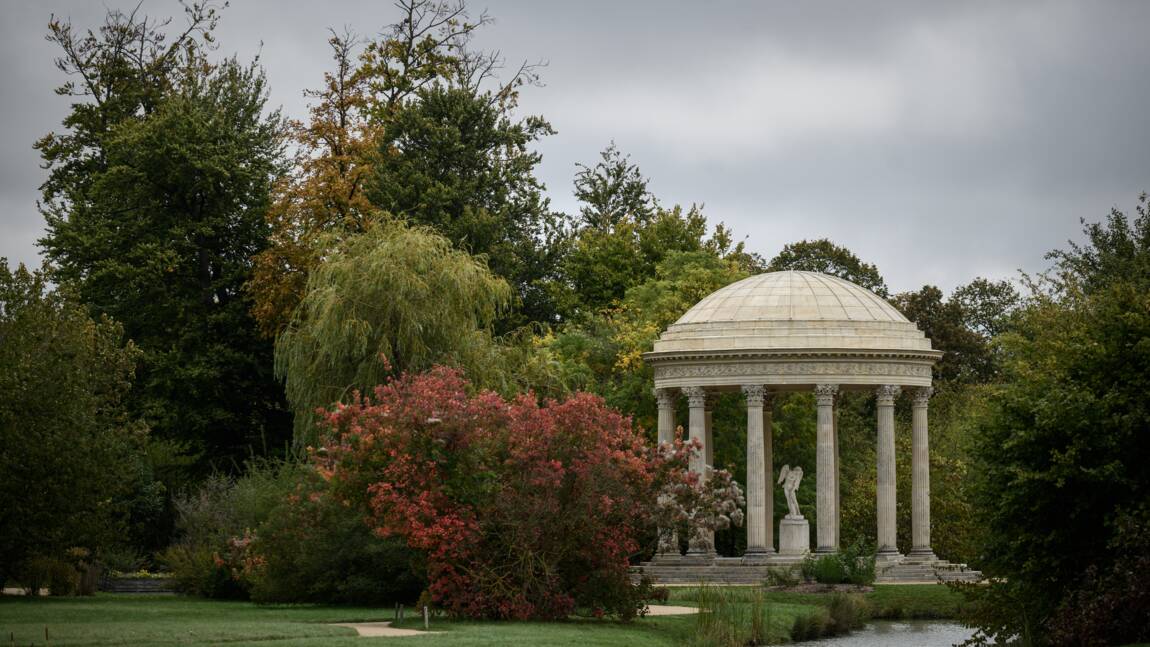 Versailles célèbre ses "arbres admirables", mémoire vivante de l'Histoire