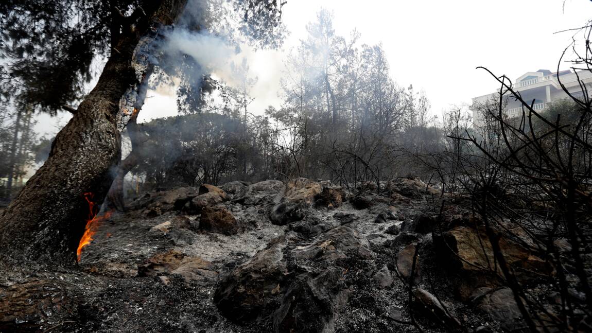 Le Liban pleure ses forêts réduites en cendres par les incendies
